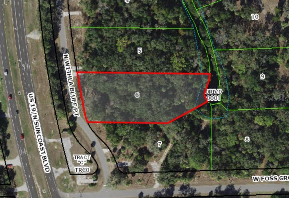 11043 N Withla Bluff Point, Inglis, FL 34449