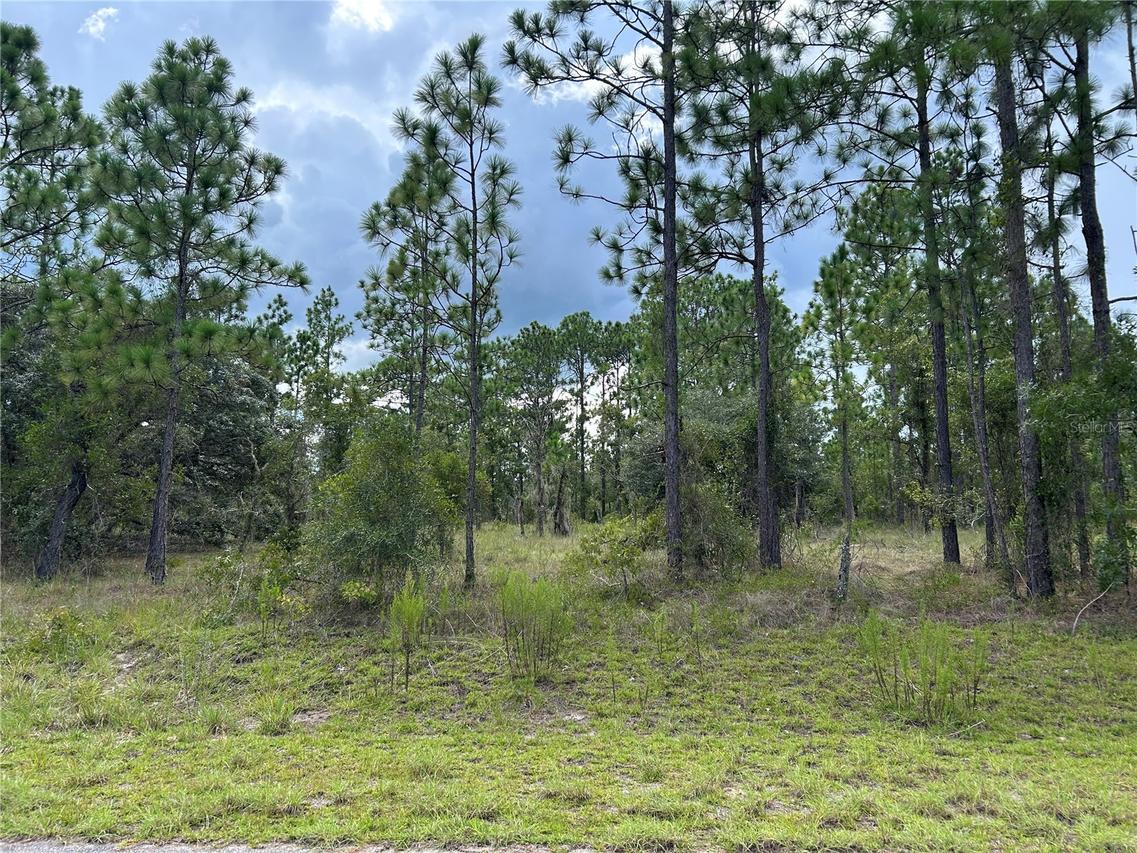 TBD SE 138th Ave., Dunnellon, FL 34431