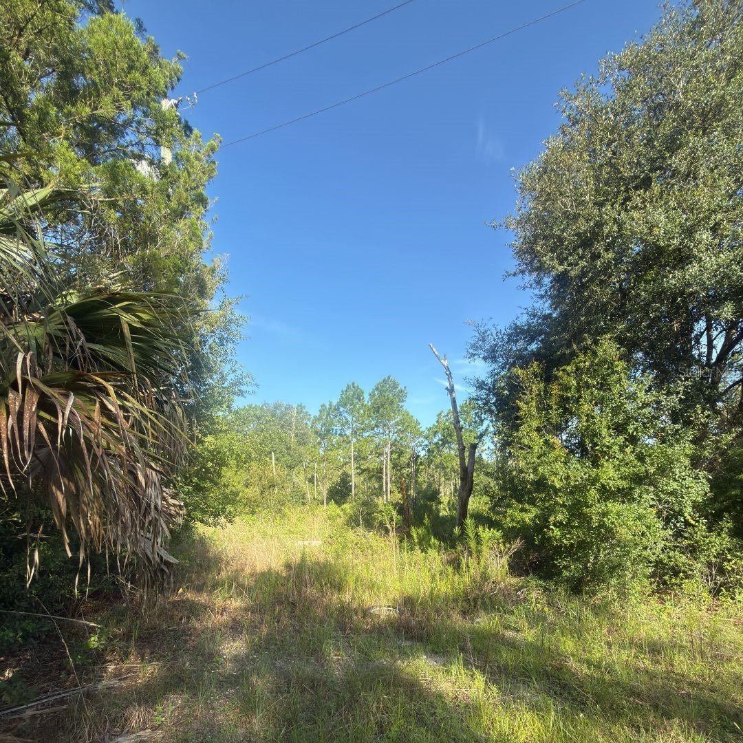 19037 Parakeet Rd., Brooksville, FL 34614