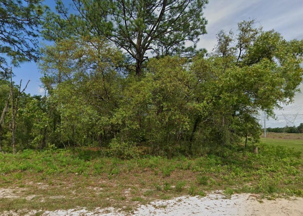 6895 N Varsity Ave., Citrus Springs, FL 34434
