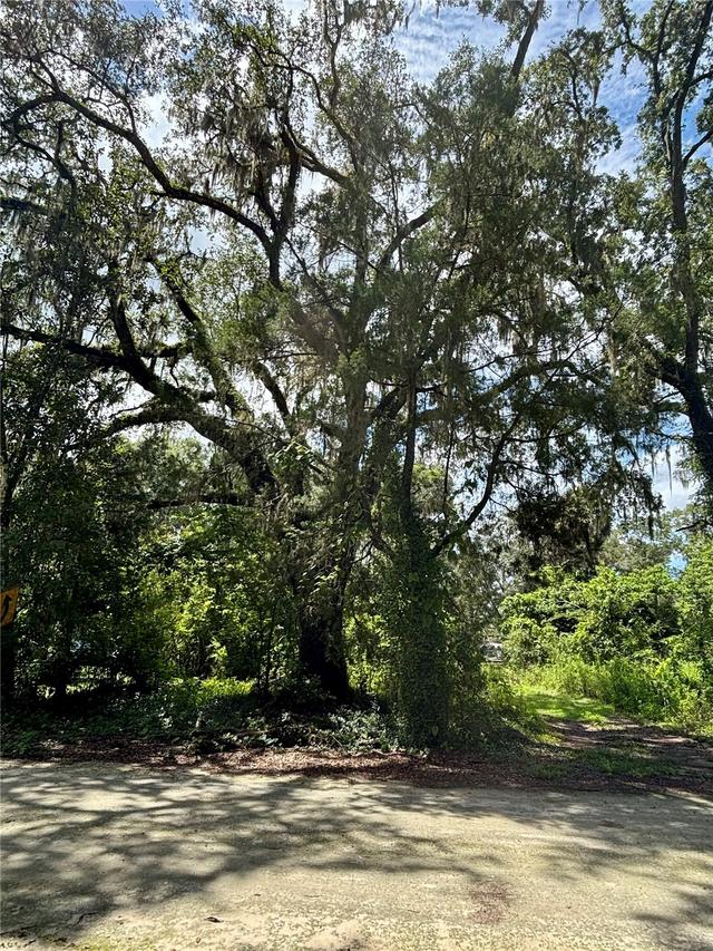 Lot 28 SW 109 Ln., Dunnellon, FL 34432