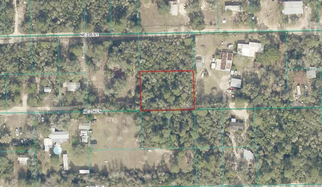 TBD NE 234th Ln., Fort Mc Coy, FL 32134