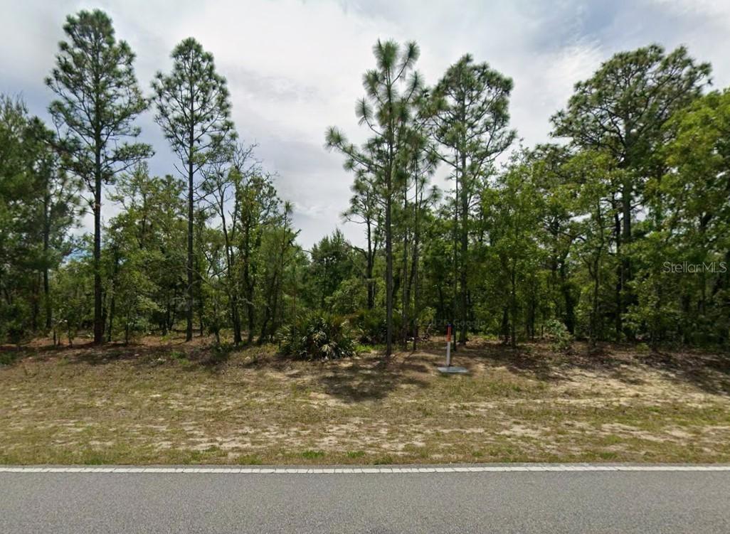 1782 W Hampshire Blvd., Citrus Springs, FL 34434