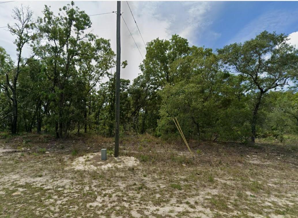 1418 W Hampshire Blvd., Citrus Springs, FL 34434