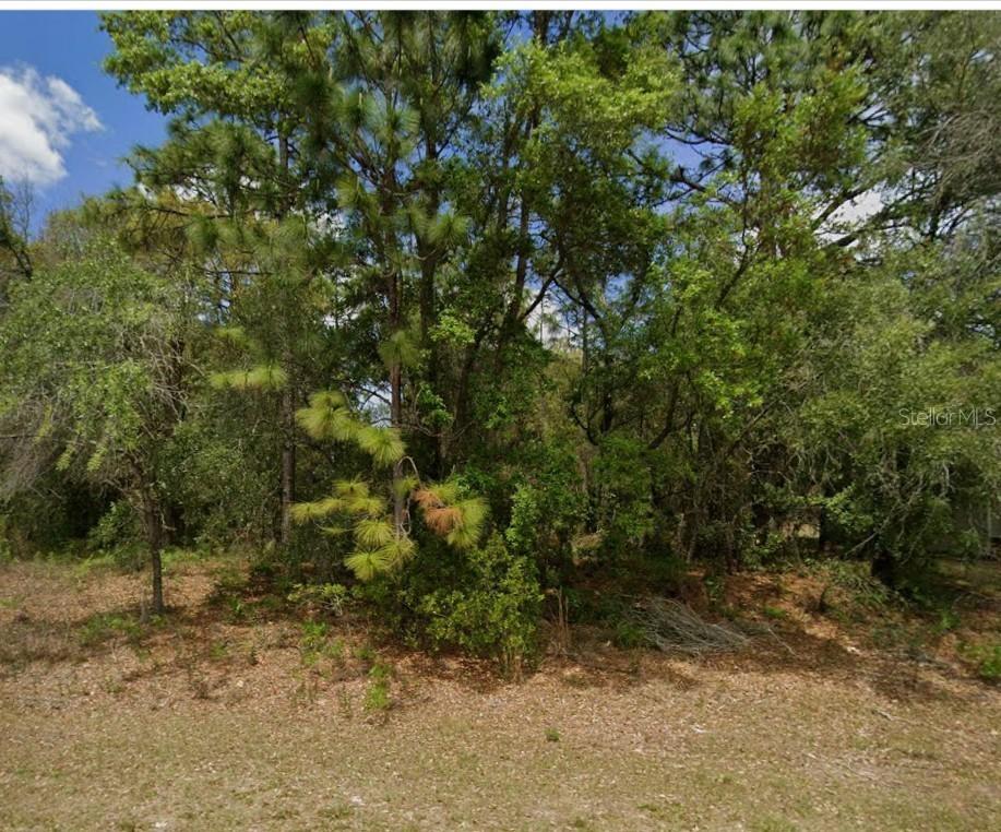 1895 W Hampshire Blvd., Citrus Springs, FL 34434