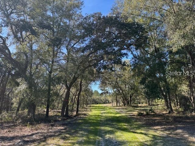TBD NE 150th Ave Rd. #LOT 5, Fort Mc Coy, FL 32134