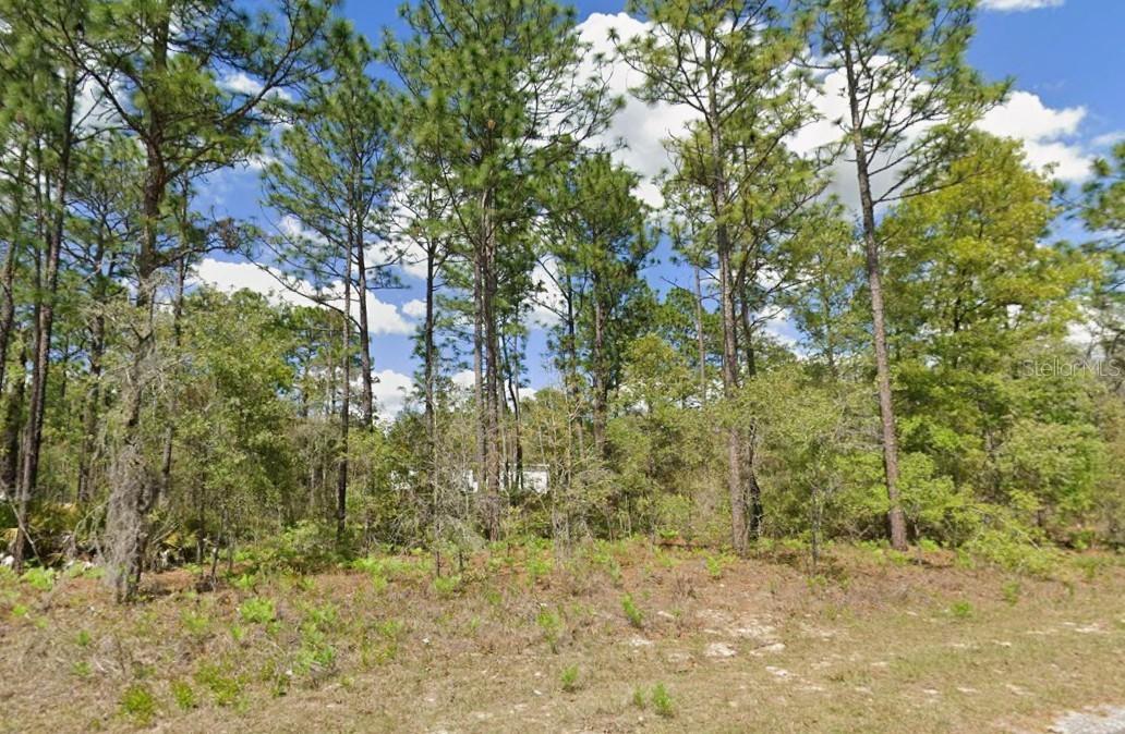 2175 W Galaxy Ln., Citrus Springs, FL 34434