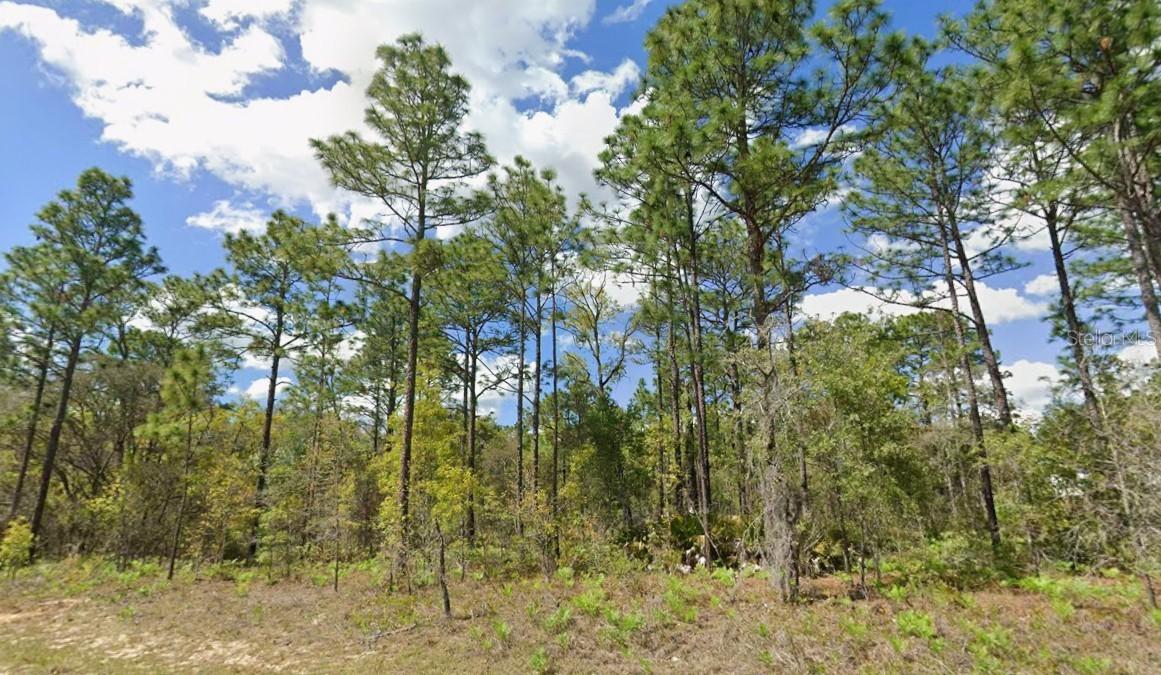 2193 W Galaxy Ln., Citrus Springs, FL 34434