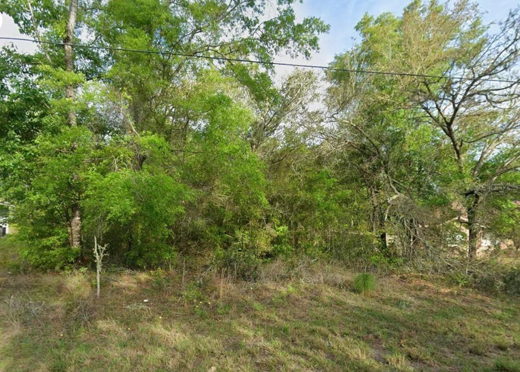 8280 N Galena Ave., Citrus Springs, FL 34434