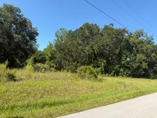 TBD SE 59th Place, Ocklawaha, FL 32179