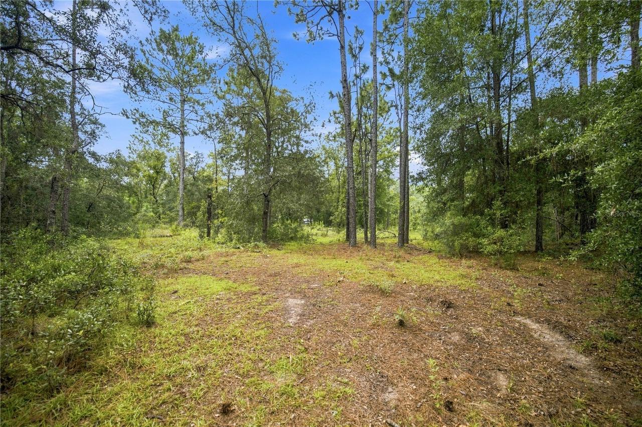 21350 SE 66th St., Morriston, FL 32668