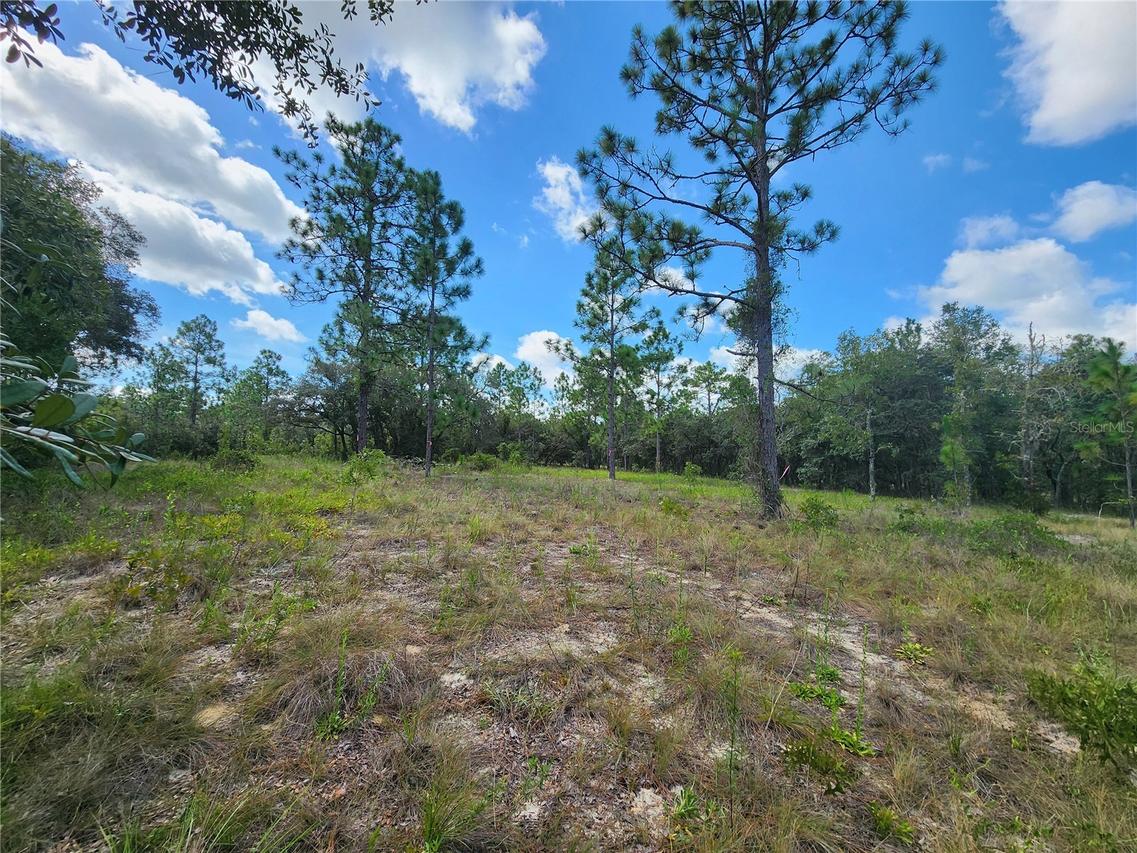 Lot 10 SW Nectarine Lane Ln., Dunnellon, FL 34431