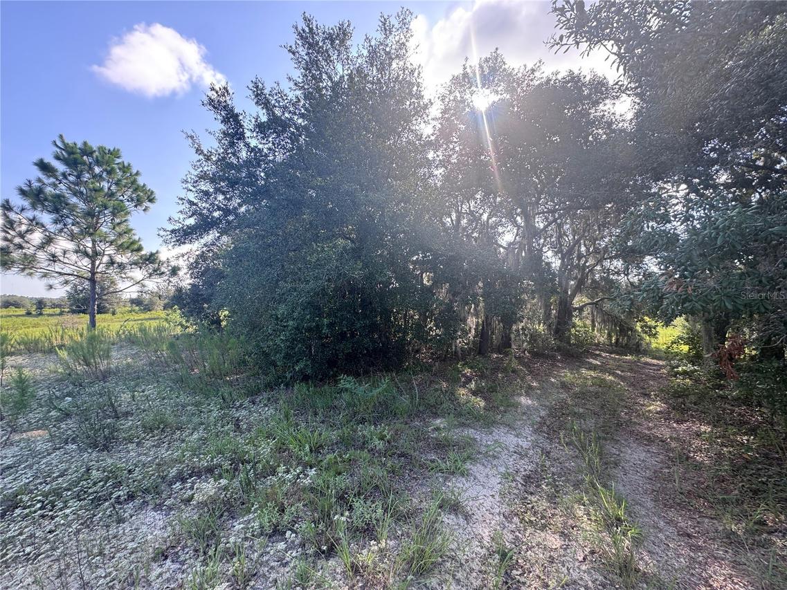 2251 E Four Seasons Ln., Inverness, FL 34453
