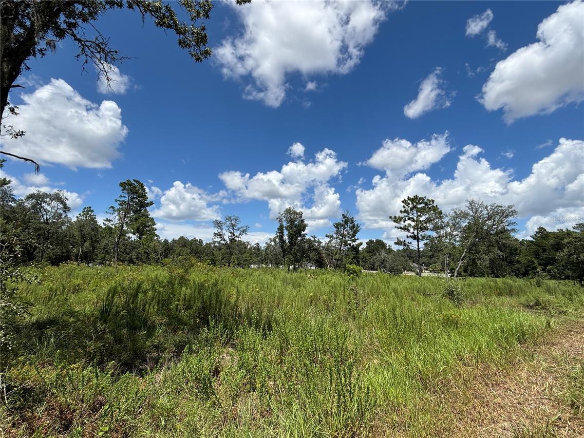 12601 SW 98th St., Dunnellon, FL 34432