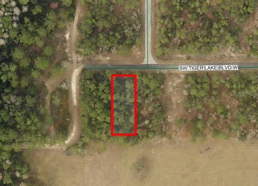 SW Tiger Lake Blvd., Dunnellon, FL 34432