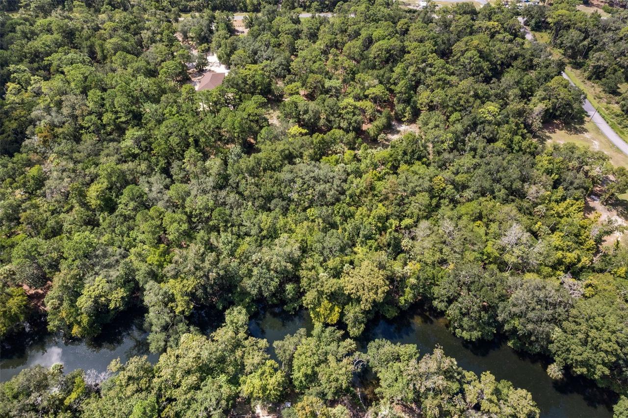 13707 W Foss Groves Path, Inglis, FL 34449
