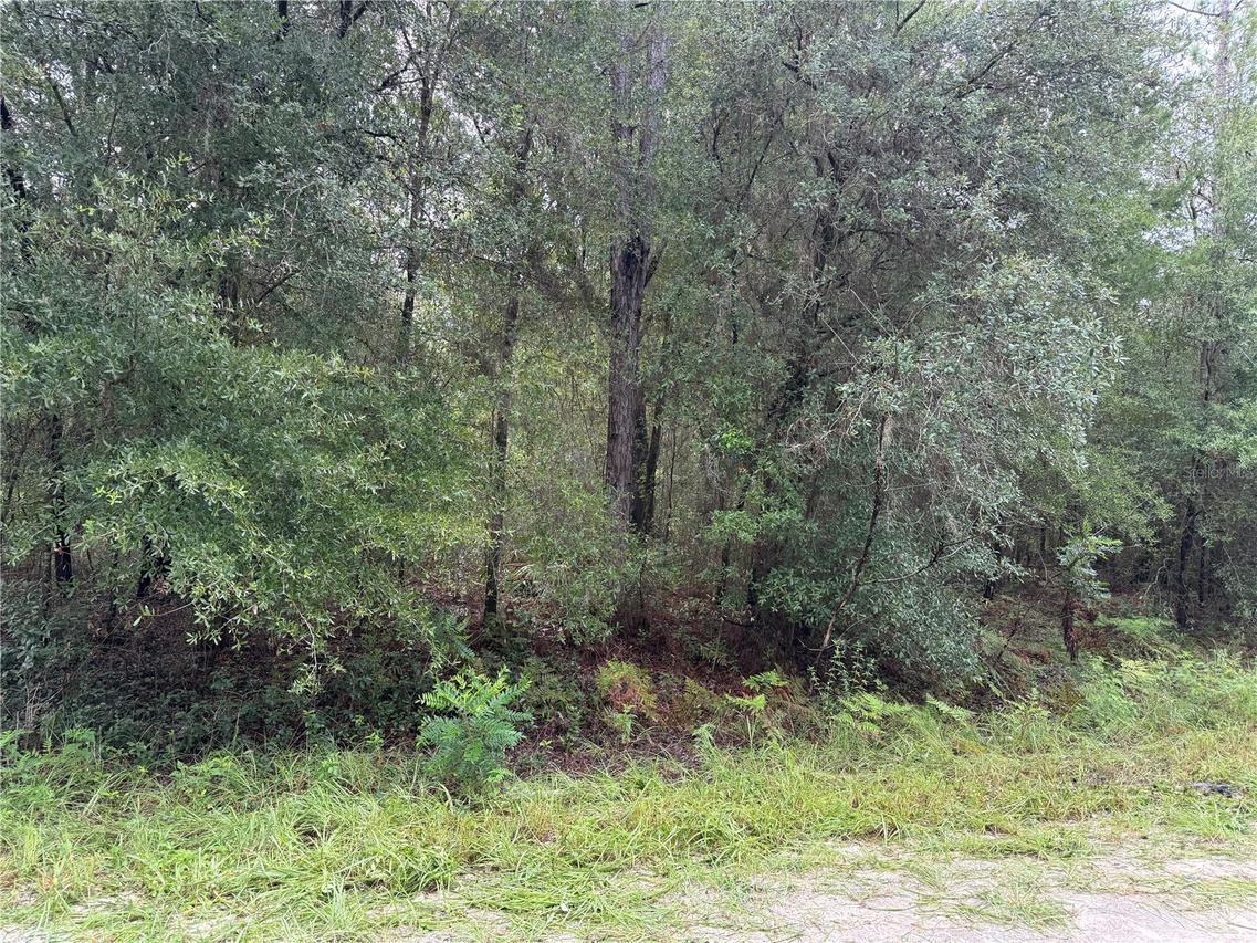 tbd Sw 125th Terrace, Dunnellon, FL 34432