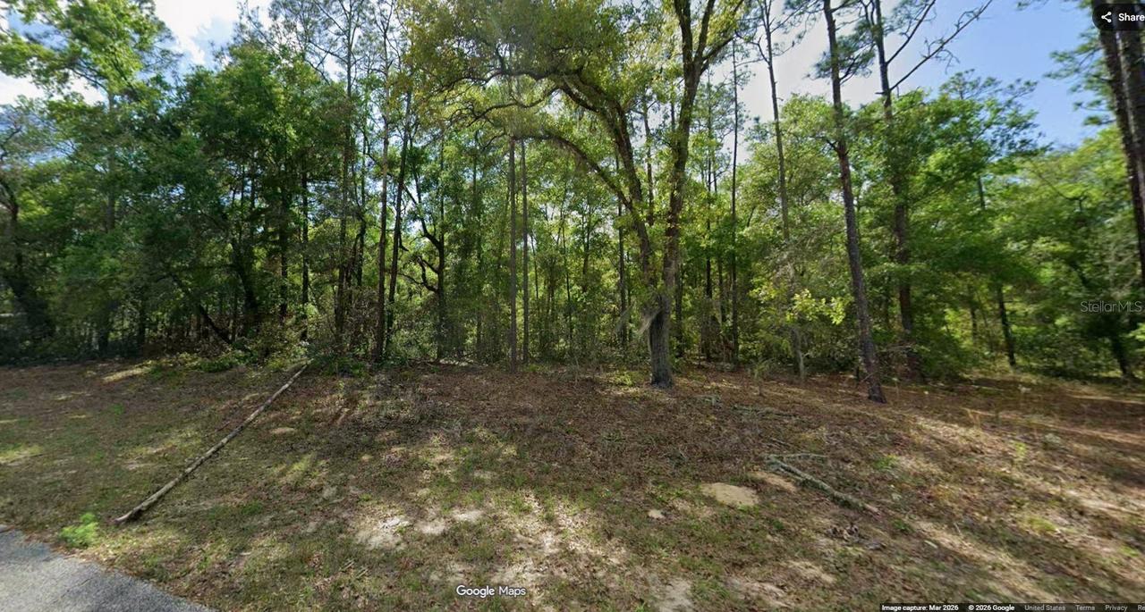 11286 N Schult Ter., Dunnellon, FL 34434