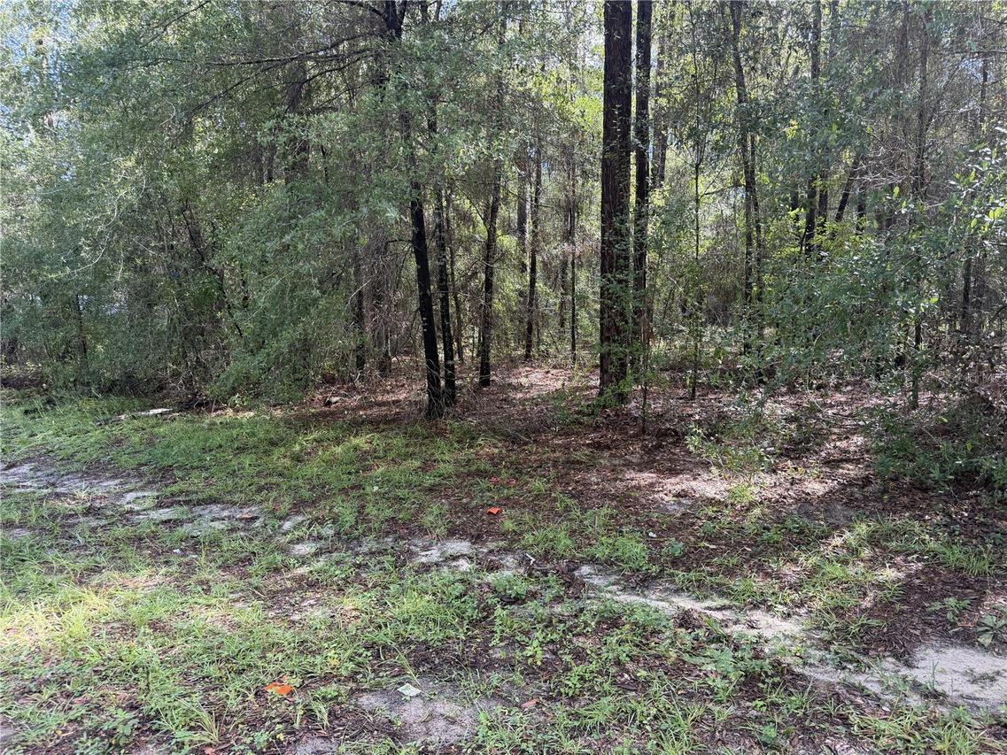 10049 N Biscayne Dr., Citrus Springs, FL 34434