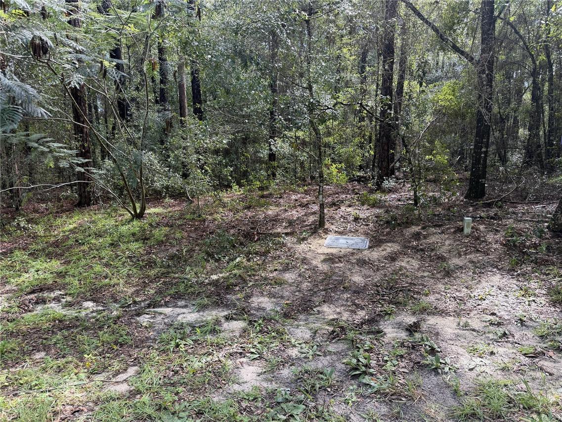 10061 N Biscayne Dr., Citrus Springs, FL 34434