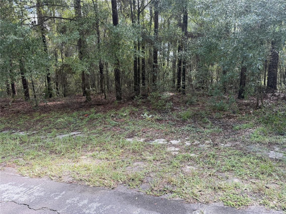 10075 N Biscayne Dr., Citrus Springs, FL 34434