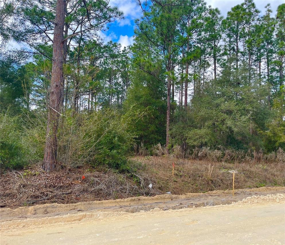 0 Sw 152nd Ter., Ocala, FL 34481
