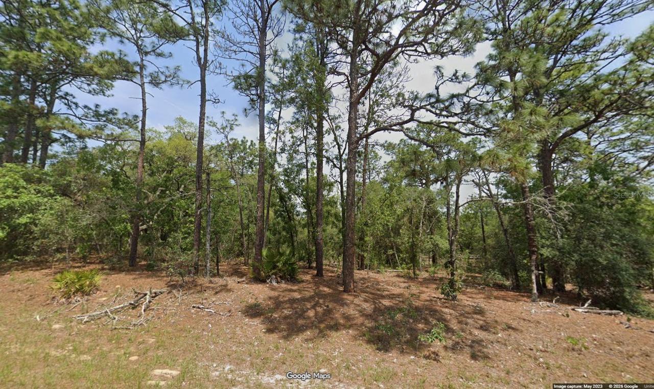 11351 N Kenney Loop, Citrus Springs, FL 34433