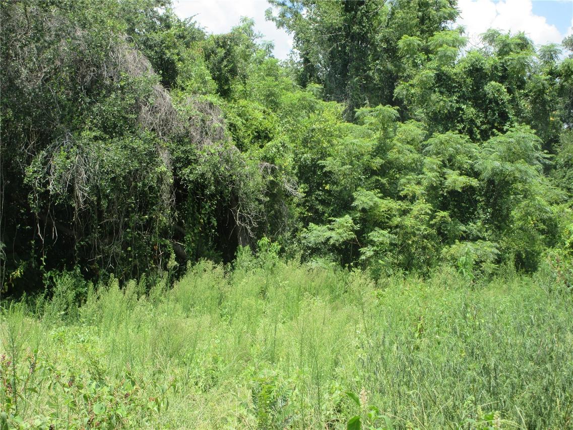 TBD SE 18th St., Silver Springs, FL 34488