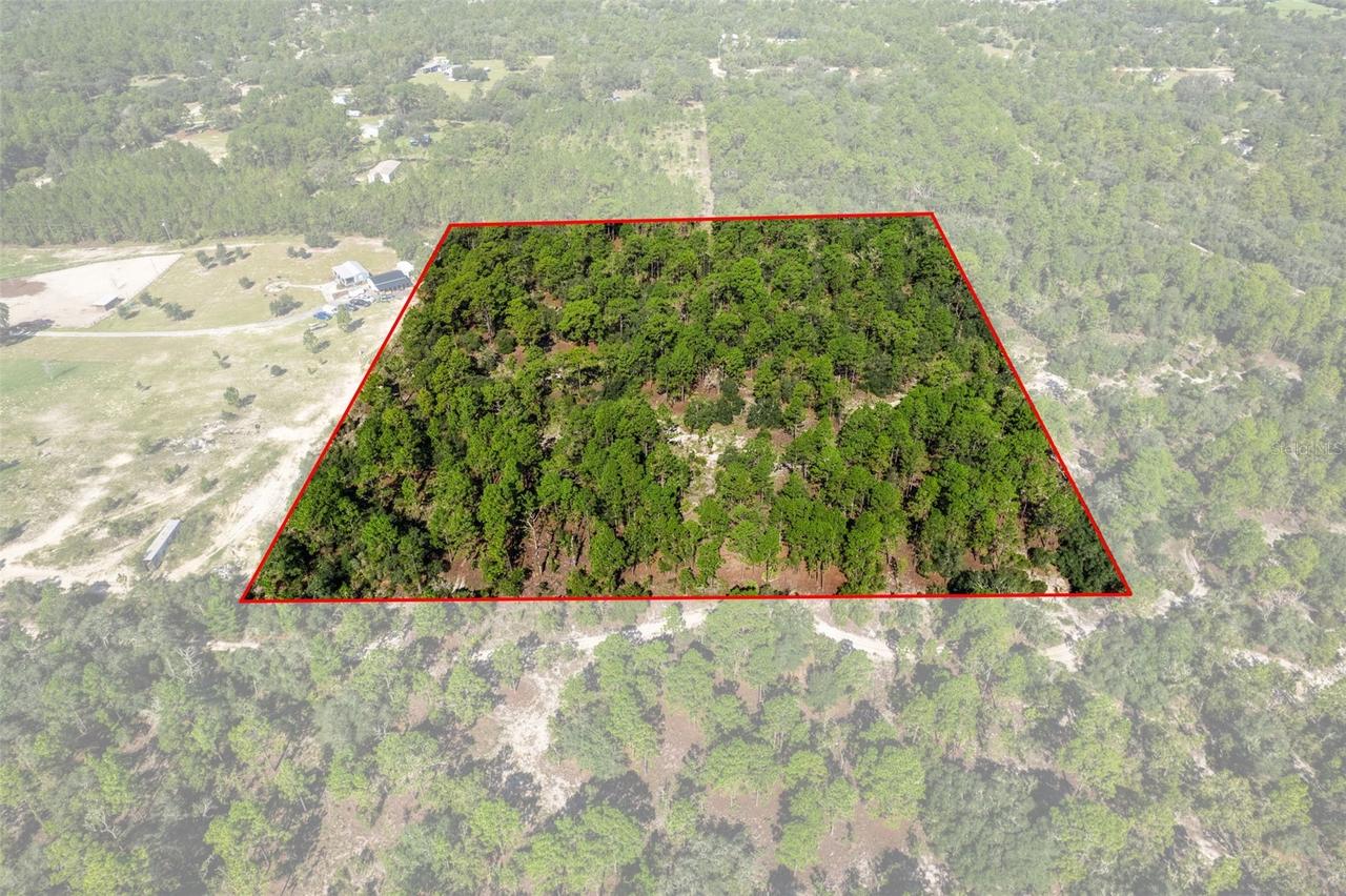 10686 N Statue Point, Dunnellon, FL 34433