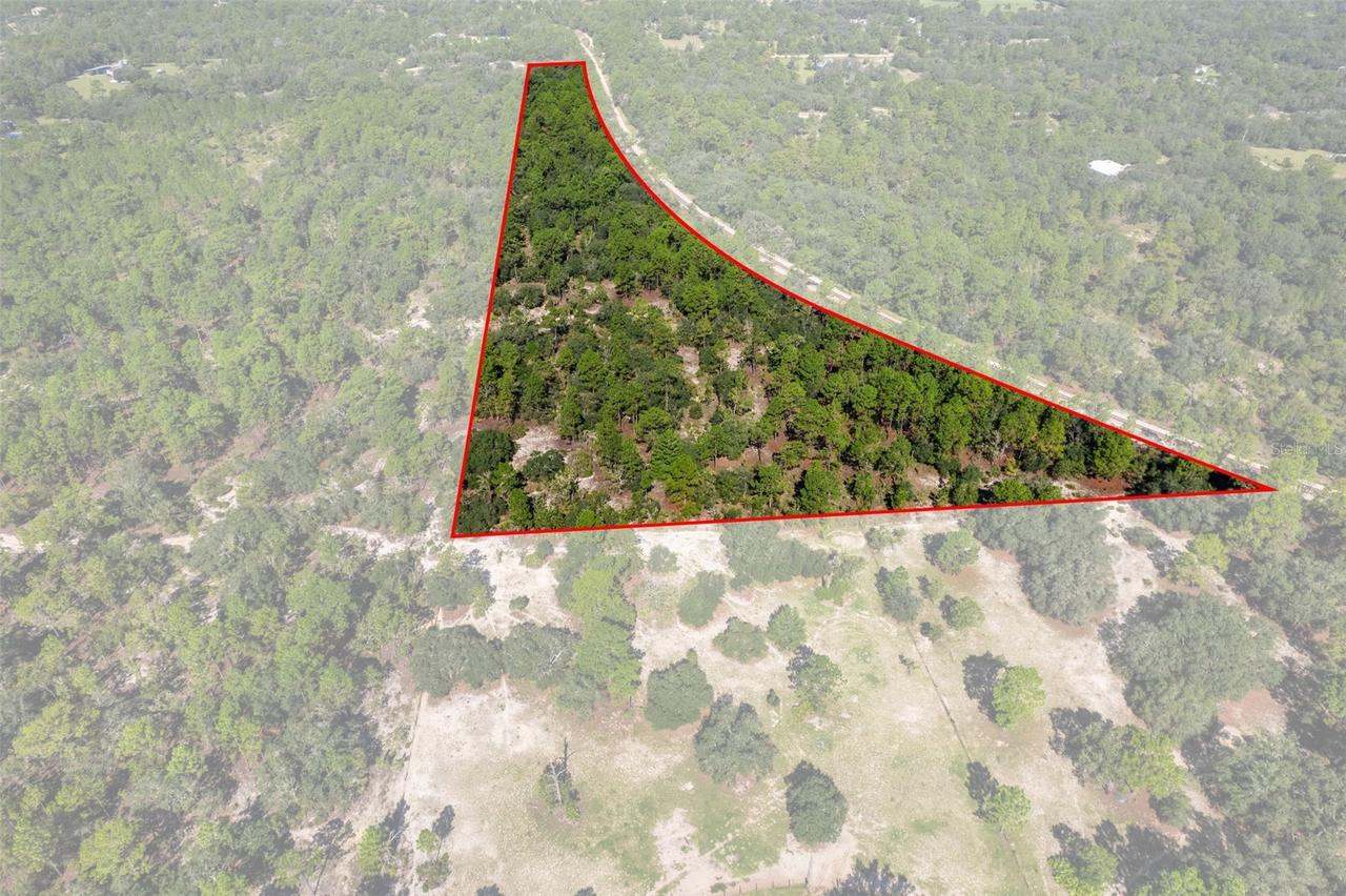 10806 N Statue Point, Dunnellon, FL 34433