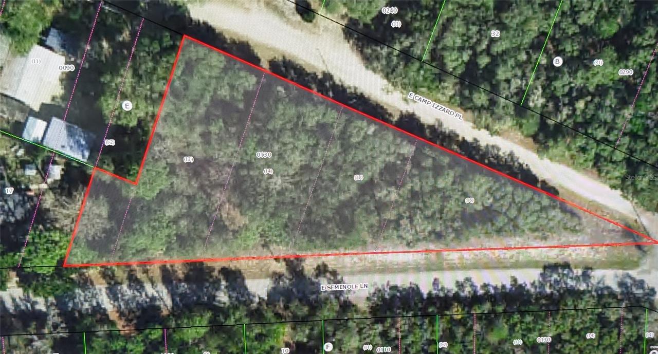 4114 E Camp Izzard Pl., Dunnellon, FL 34434