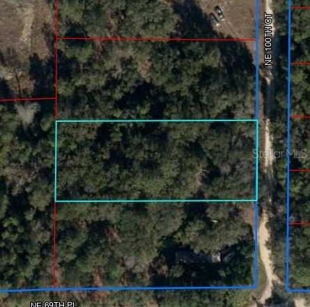 Lot 2 NE 100th Ct., Bronson, FL 32621
