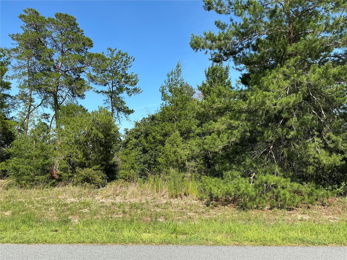 12995 SW 35th Avenue Rd., Ocala, FL 34473