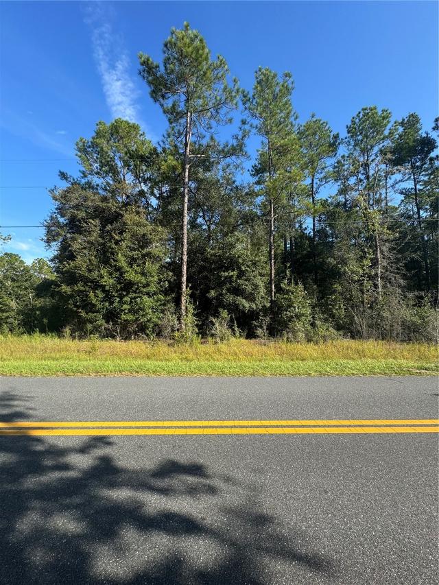 TBD SW Beach Blvd, Dunnellon, FL 34431