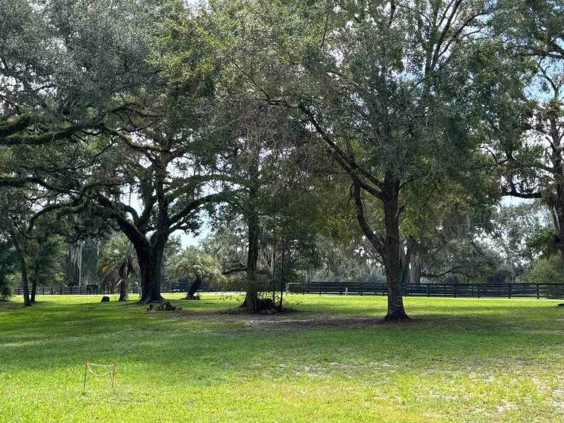 12125 NW 100th St., Ocala, FL 34482