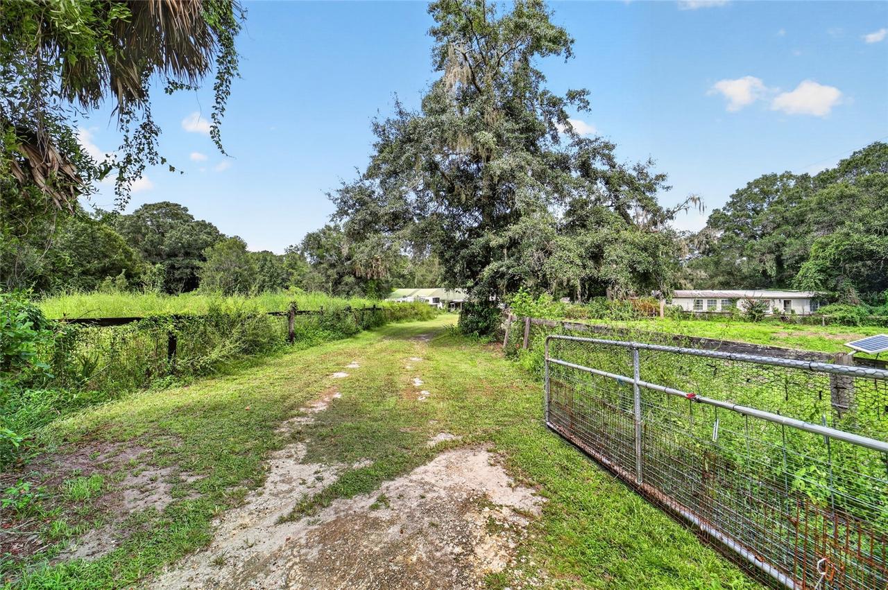 10195 NW 160th St., Reddick, FL 32686