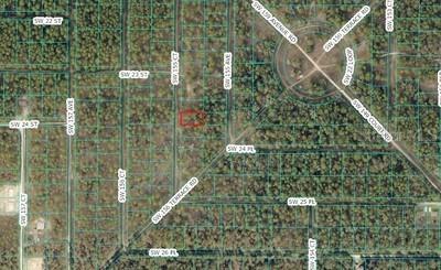 00 SW 155 Ct., Ocala, FL 34481