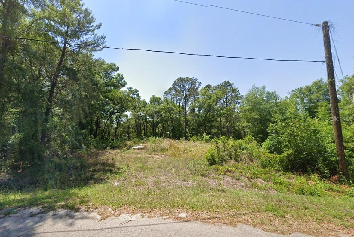 77 Bay Court Pass, Ocklawaha, FL 32179