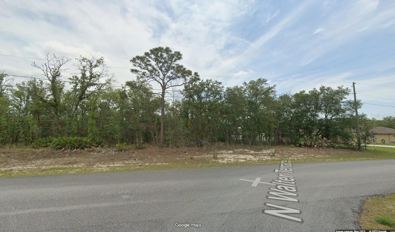 6251 N Walter Ter., Citrus Springs, FL 34434