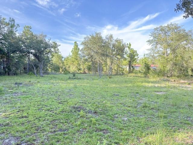 00 NE 50th Pl., Williston, FL 32696