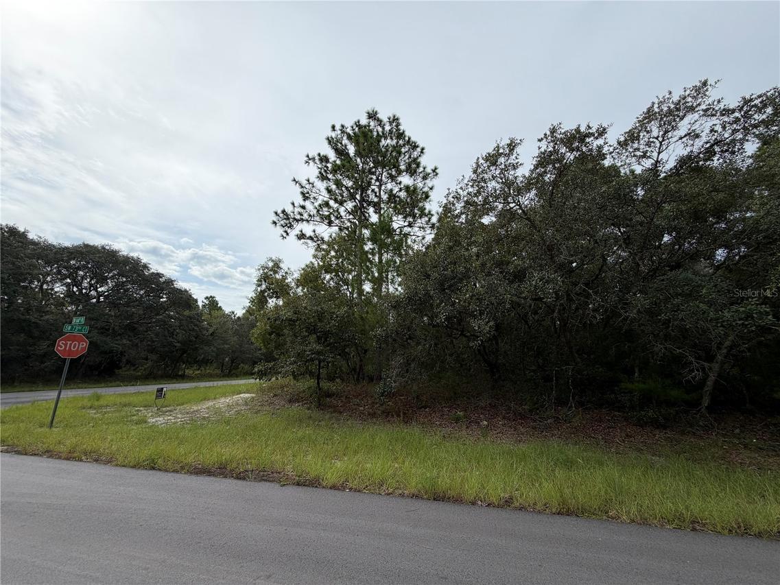 SW 144th Pl., Ocala, FL 34480