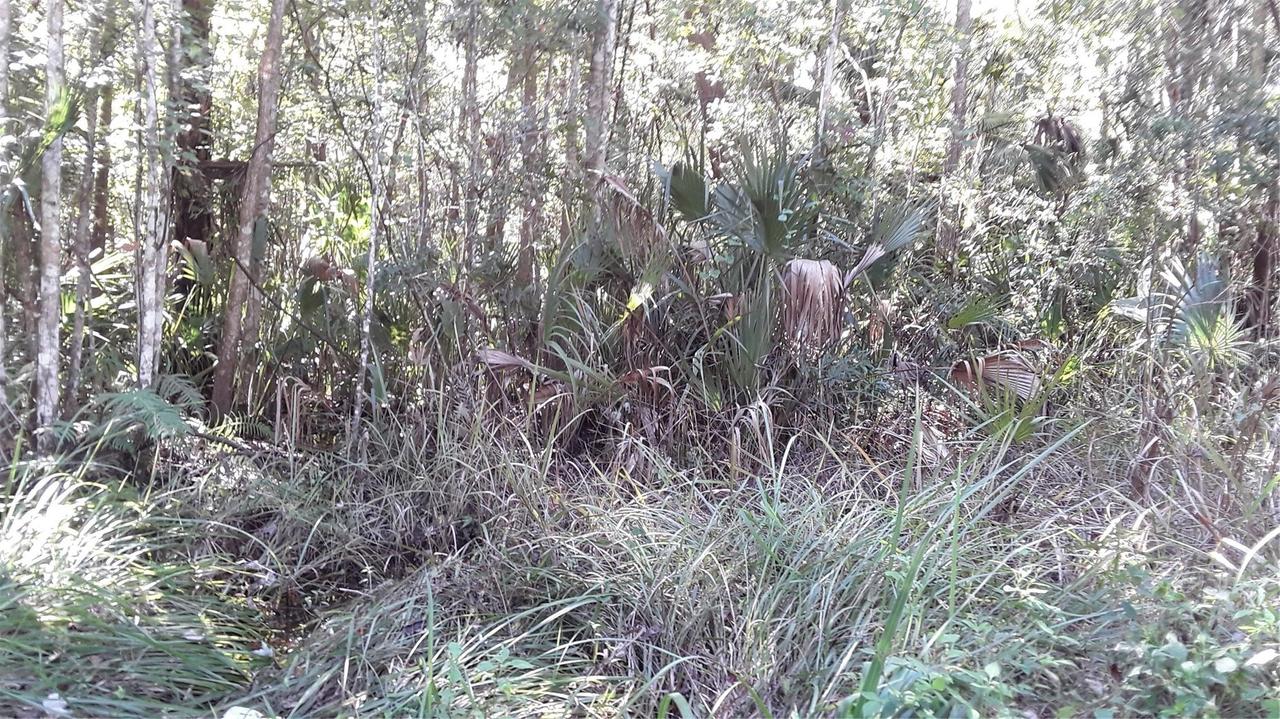 17768 NW 296th St., Okeechobee, FL 34972