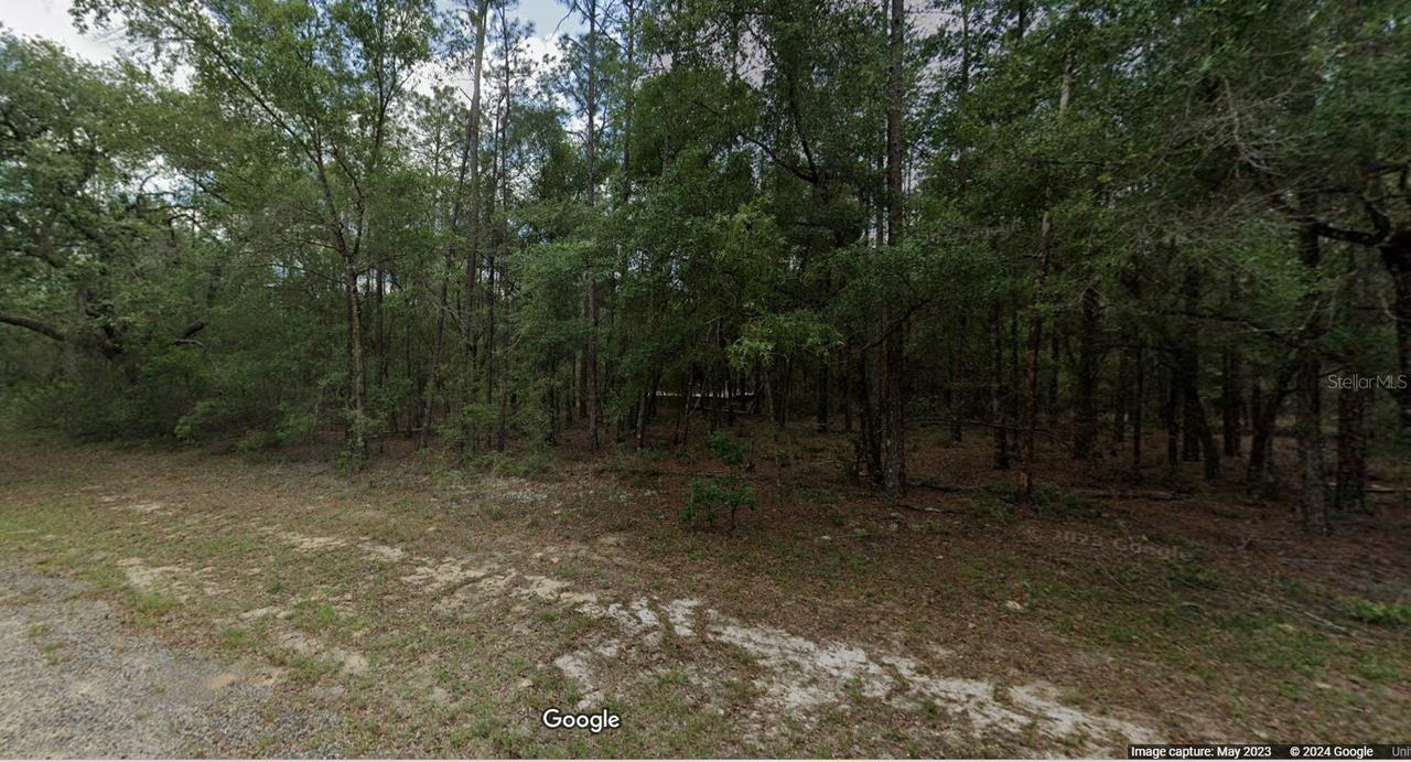 194 E Falcon St., Citrus Springs, FL 34434