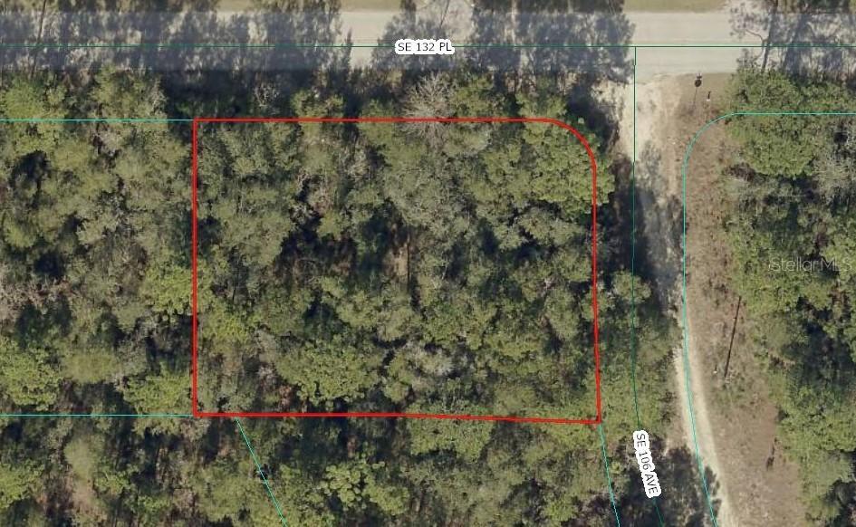 00 SE 132nd Pl., Ocklawaha, FL 32179