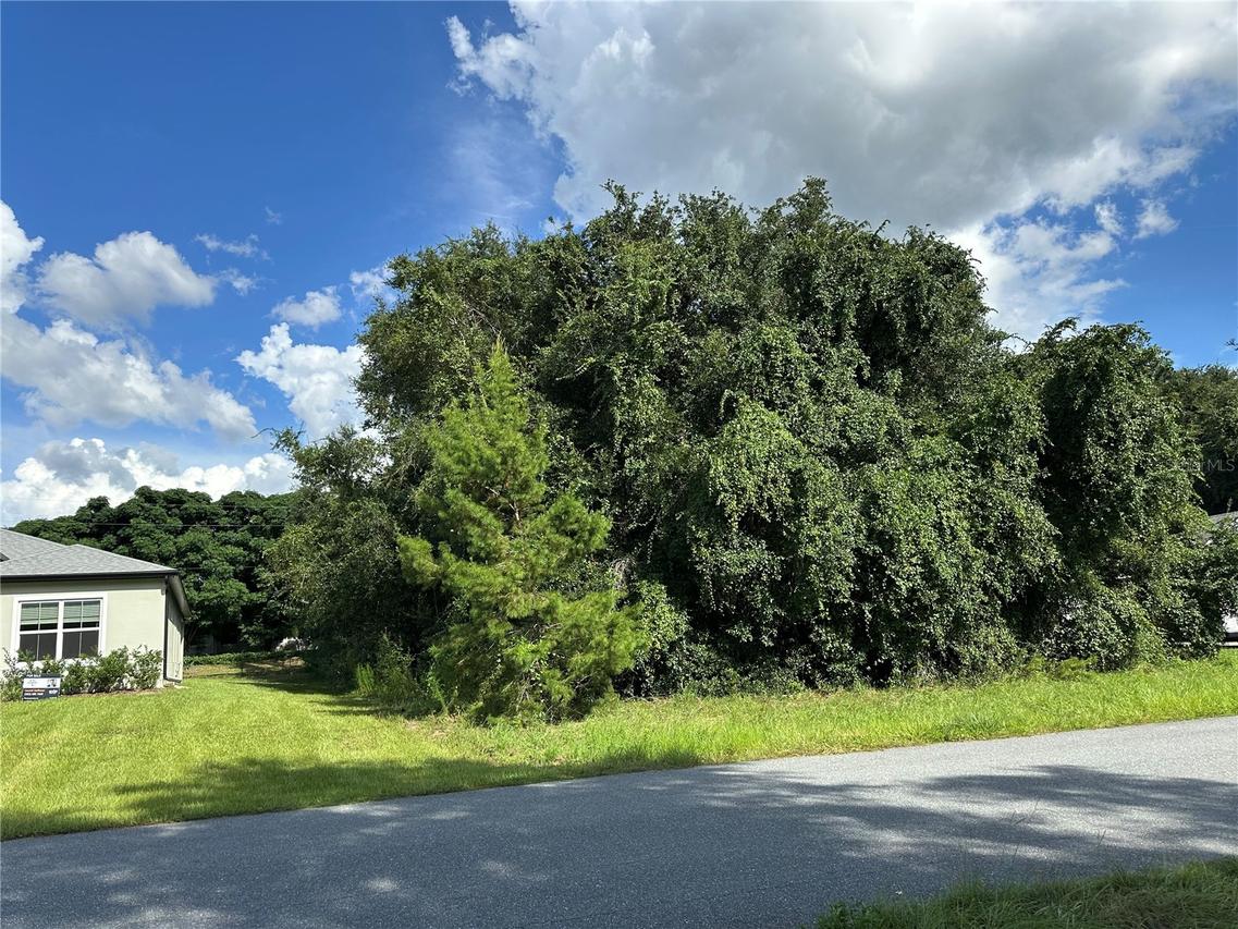 000 Sw 128th Pl., Ocala, FL 34473