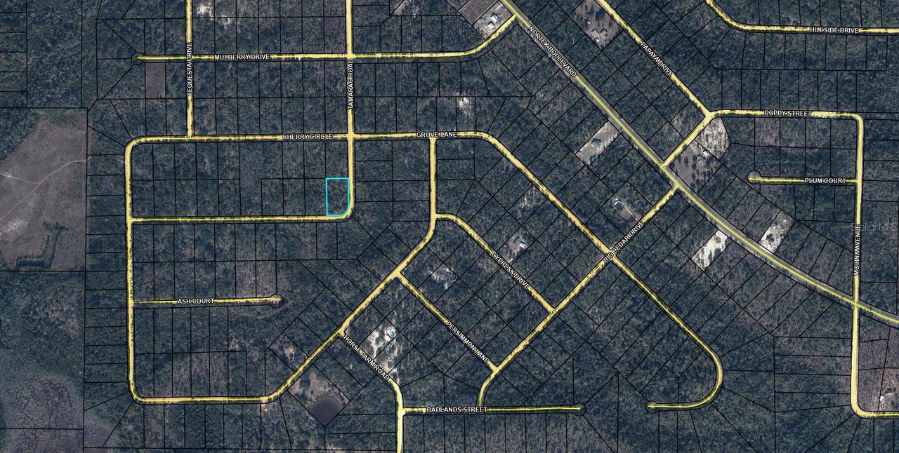 TBD Tamarac Rd., Marianna, FL 32448