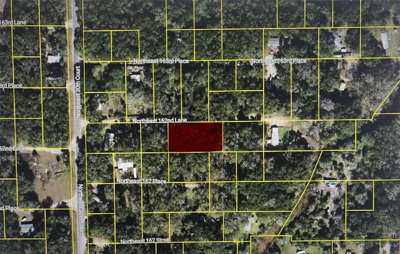 TBD NE 162nd Lane, 81.82 Ln., Citra, FL 32113