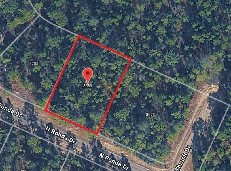 8689 N Ronda Dr., Citrus Springs, FL 34433