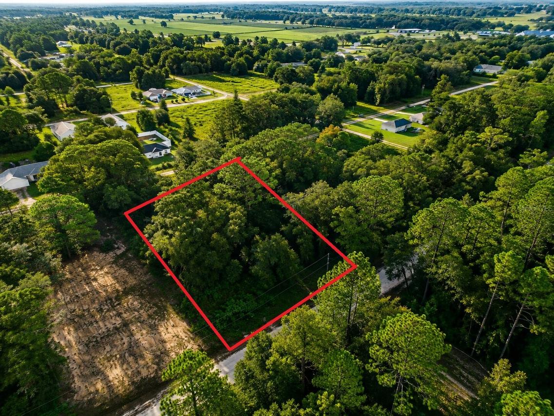 [Address Hidden by Seller], Ocala, FL 34481
