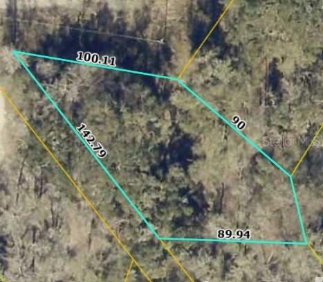 TBD1 SW 129th Blvd., Webster, FL 33597